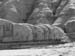 _MG_1109sw